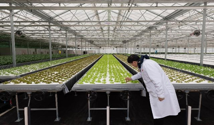 江苏省大力发展服务“三农”的职业教育 助力推动乡村全面振兴